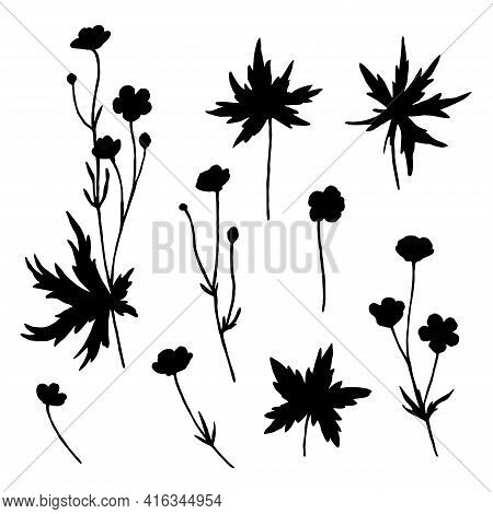Big Set Of Meadow Flowers. Silhouettes Of Buttercups Isolated On White Background.