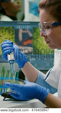 Biologist Researcher Using Micropipette And Petri Dish