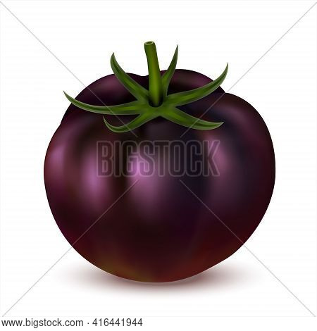 Black Tomato Isolated On White Background. 3d Realistic Fresh Tomato Whole. Side View. Vector Illust