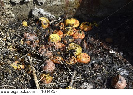 A Cesspool With Rotting Food And Vegetables