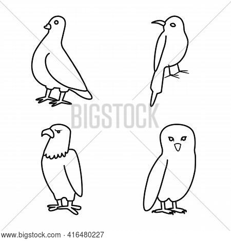 Isolated Object Of Animal And Wild Symbol. Set Of Animal And Plumage Stock Symbol For Web.