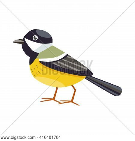 Vector Illustration Of Bird And Tit Logo. Collection Of Bird And Titmouse Stock Symbol For Web.
