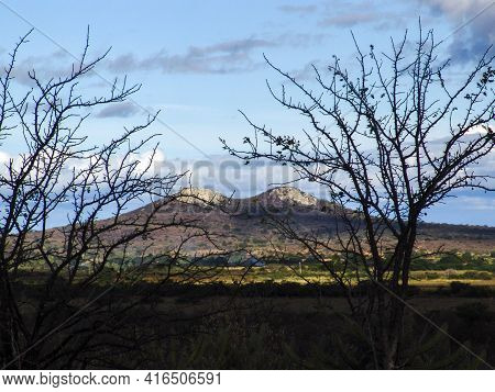 Viwe Of Twin Hill Adn Semiarid Vegetation In Pernambuco State, Northeastern Of Brazil