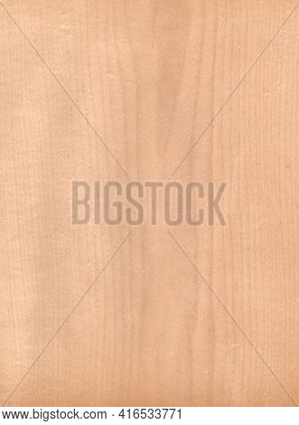 Maple, Brown Color Wood Wall Material Burr Surface Texture Background Pattern Abstract Wooden, Top V