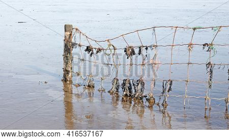 Metal Fence At A Dutch Dyke, Waddensea, The Netherlands