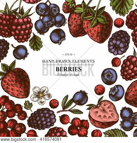 Colored Elements Design With Strawberry, Blueberry, Red Currant, Raspberry, Blackberry Stock Illustr