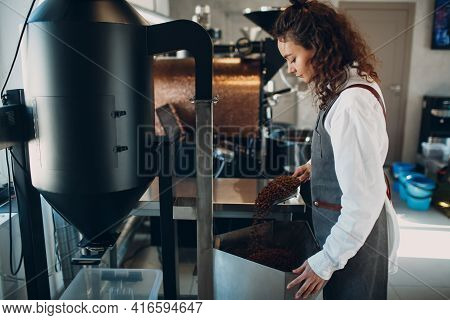Woman Worker At Coffee Destoner Machine At Coffee Roasting Process