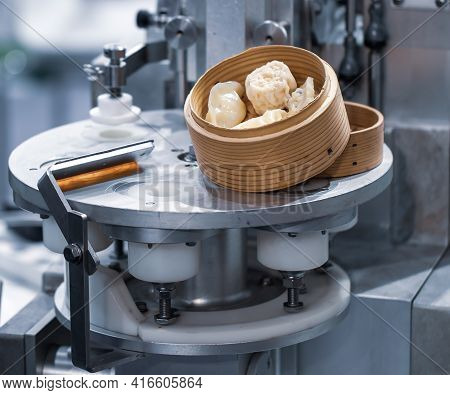 Food Processing Machine For Dumpling And Dim Sum. Business Food Industry.