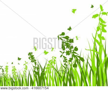 Green Spring Meadow Grass. Fresh Color Plants, Seasonal Growth Grass, Separated Botanical Elements, 