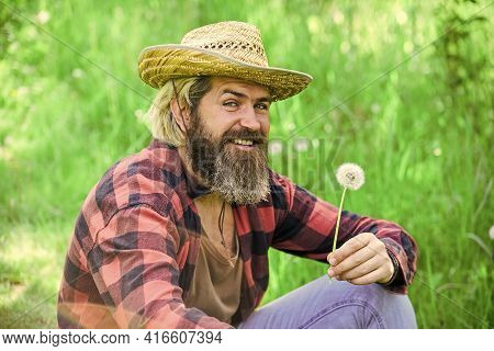 Make Wish. Peaceful Man In Straw Summer Hat. Bearded Man Blowing Dandelion Seeds In Park. Mental Hea
