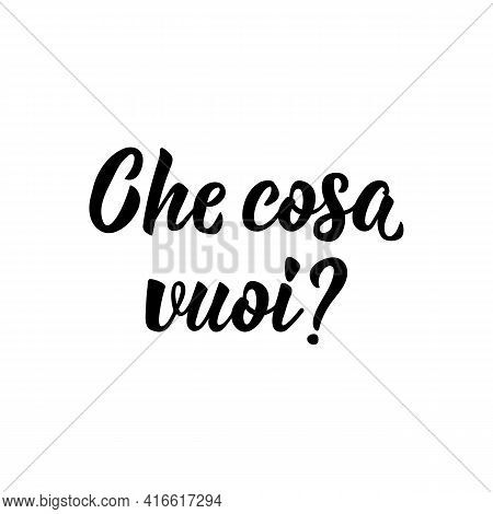 Che Cosa Vuoi. Translation From Italian: What Do You Want. Lettering. Ink Illustration. Modern Brush
