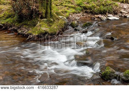 Horner Woods In Somerset