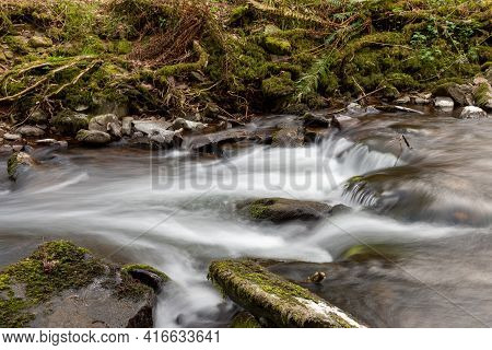 Horner Woods In Somerset