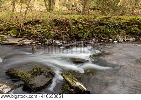 Horner Woods In Somerset