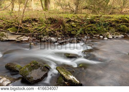 Horner Woods In Somerset