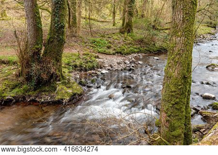 Horner Woods In Somerset