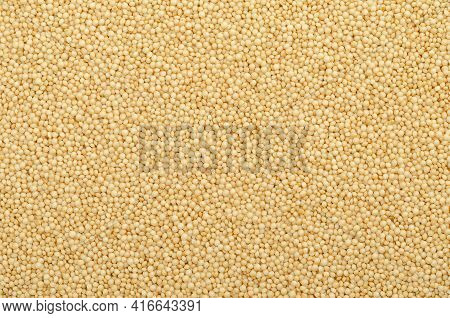 Amaranth Grain Surface And Background. Tiny Seeds Of Amaranthus, A Gluten Free Pseudocereal Similar 