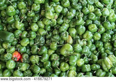 Miniature Sweet Green Peppers, Green Background, Diet
