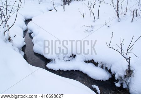 Forest Creek In The Snow In Winter