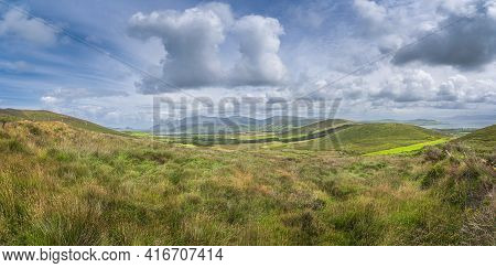 Wildflowers Blooming At Spring Near Road Leading To Dunquin Village. Beautiful Panoramic View On Din