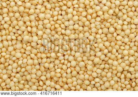 Amaranth Grain, Close-up. Amaranthus Seeds, A Gluten Free Pseudocereal Similar To Quinoa, Staple Foo