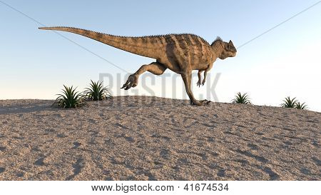 Cerantosaurus auf Sand Gelände