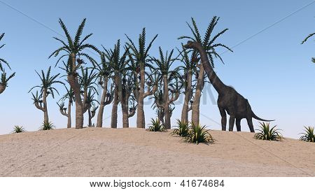 Brachiosaurus op verzenden terrein
