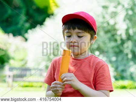 Portrait Kid Eating Ice Lolly With Blurry Nature Background, Happy Little Boy Standing In The Park E