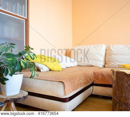 Comfortable Light Corner Recreation Area With Large Sofa, Green Shefflera, Wooden Creative Stands. C