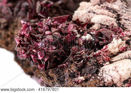 Macro Stone Erythrite Mineral On White Background