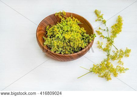 Galium Verum, Lady Bedstraw Or Yellow Bedstraw Used In Alternative Medicine In Wooden Plate On White