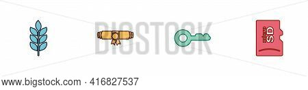 Set Wheat, Diploma Rolled Scroll, Key And Micro Sd Memory Card Icon. Vector
