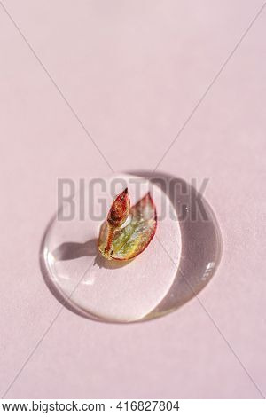 A Drop Of Cosmetic Gel With A Leaf On A Pink Background.