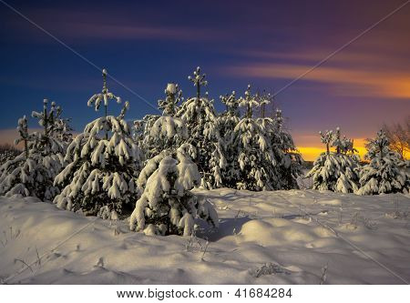Winterlandschaft