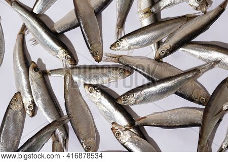 Fish Background On White, Fresh Seafood, Fishing