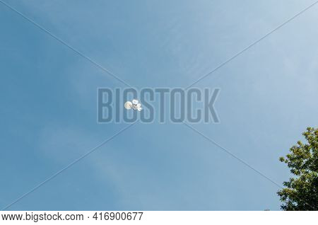 White Balloons With Ribbons In The Sky