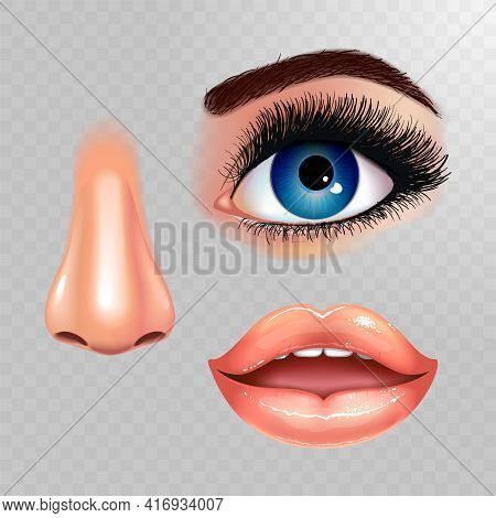 Set Of Beautiful Female Eye With Extended Eyelashes, Nose And Shining Mouth With Glossy Lips. Checke