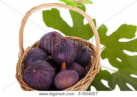 Busket Of Fresh Figs With Leaves Isolated On White Background