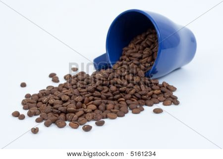 スペル コーヒー