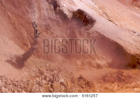 Lassen fango Pit con albero