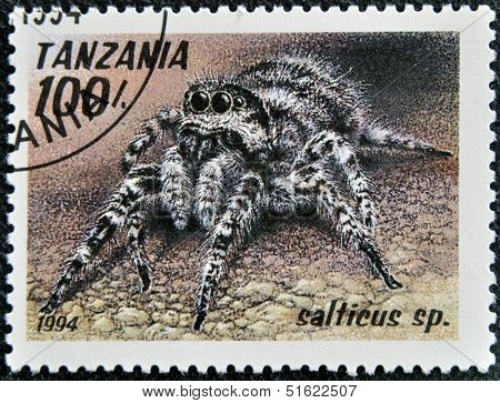 A stamp printed in Tanzania shows image of a salticus sp.