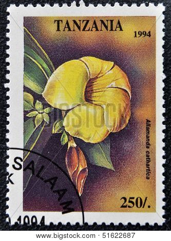 A stamp printed in Tanzania dedicated to tropical flowers shows allamanda cathartica