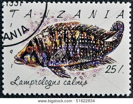 A stamp printed in Tanzania shows Lamprologus calvus