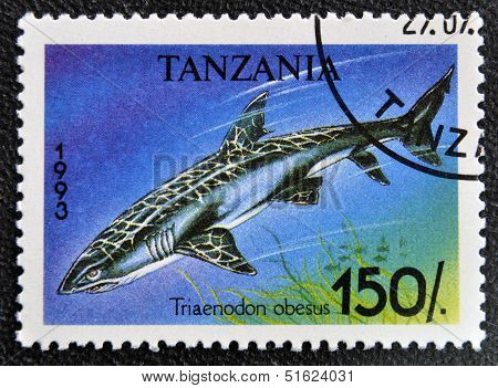 A stamp printed in Tanzania shows Whitetip reef shark Triaenodon obesus