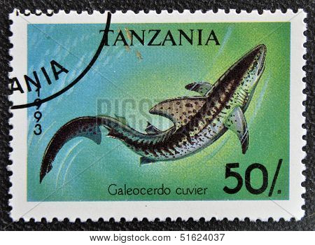 A stamp printed in Tanzania shows tiger shark galeocerdo cuvier