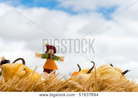 Halloween Scarecrow