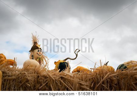 Halloween Scarecrow
