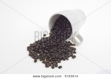 コーヒー豆