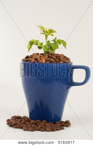 植物とブルーのカップ