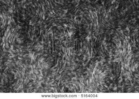 Background, Black-and-white Fur